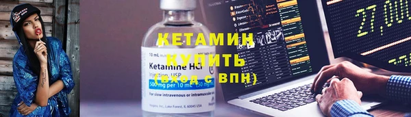 прущие грибы Бородино