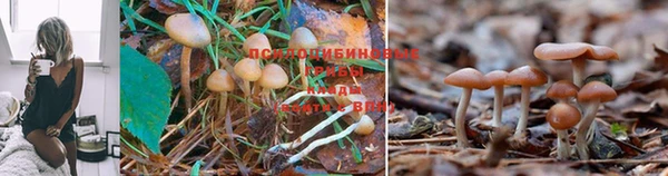 альфа пвп Бронницы