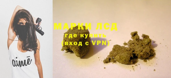 прущие грибы Бородино