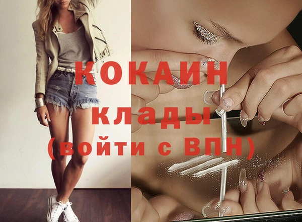 прущие грибы Бородино