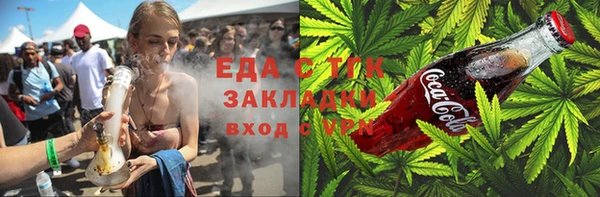 прущие грибы Бородино