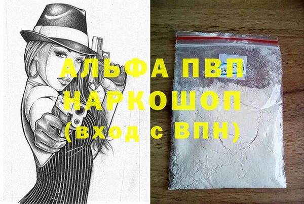 прущие грибы Бородино