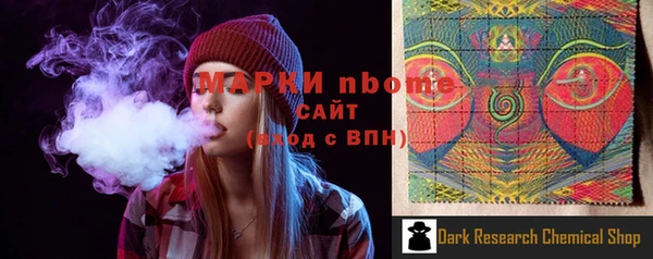 прущие грибы Бородино