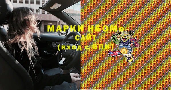 прущие грибы Бородино