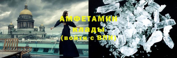 прущие грибы Бородино