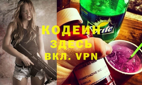 прущие грибы Бородино